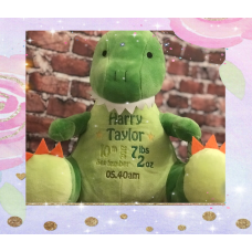 Personalised Embroidered Green Plush Dinosaur